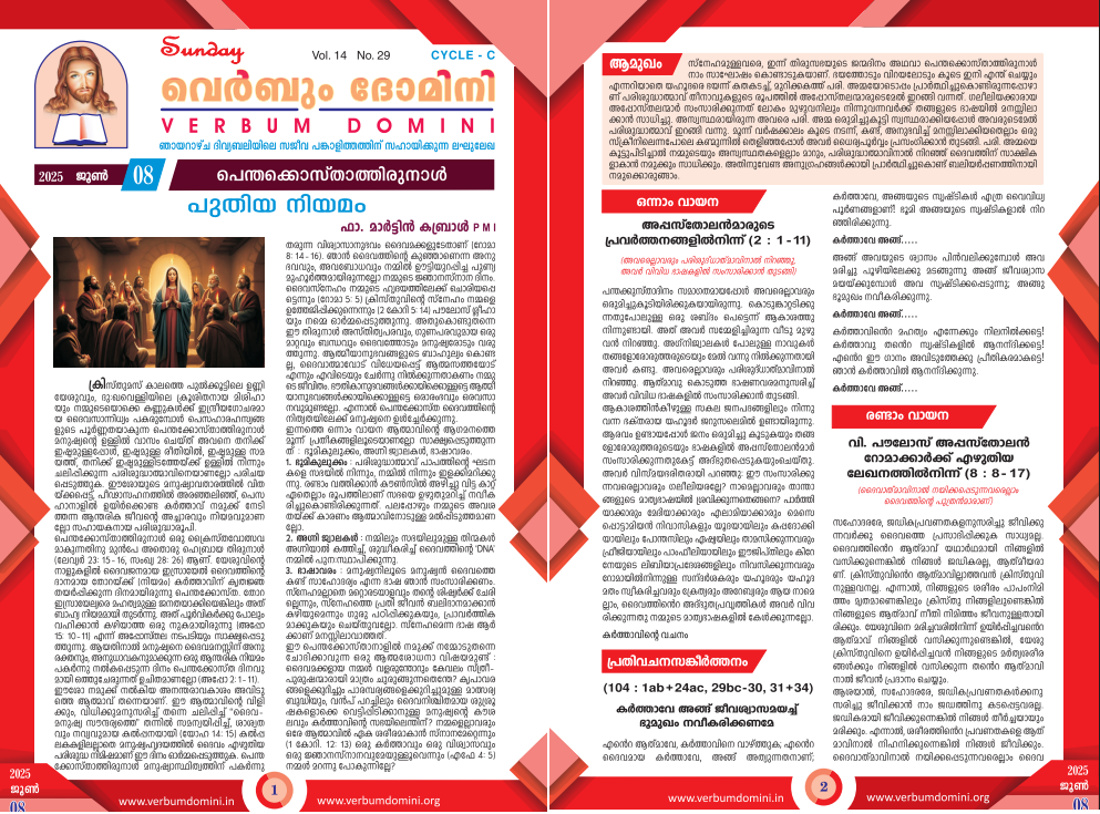 Newsletter 08 Jun 2025