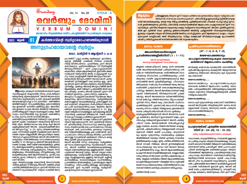 Newsletter 01 Jun 2025